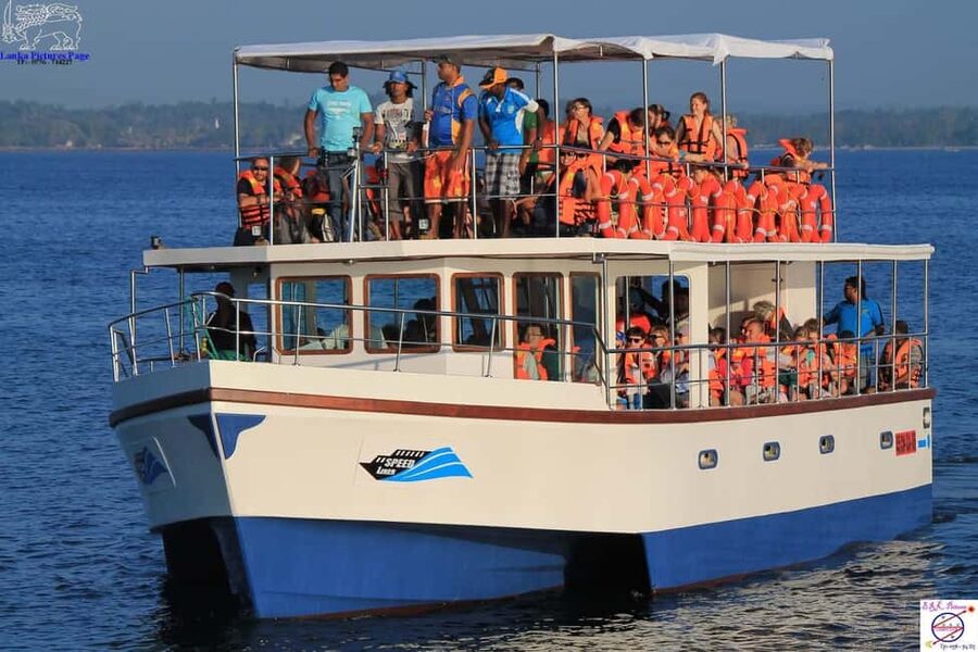 Mirissa: Whale & Dolphin Watching Trip with Private Transfer - Leaving the coast before sunrise
