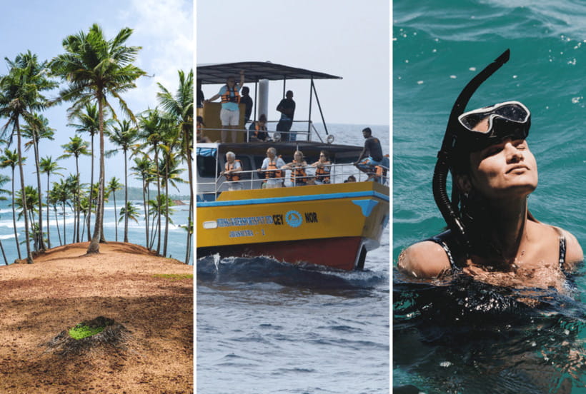 Mirissa: Whale Watching, Snorkeling, and Coconut Hill Tour - Coconut Tree Hill at sunset