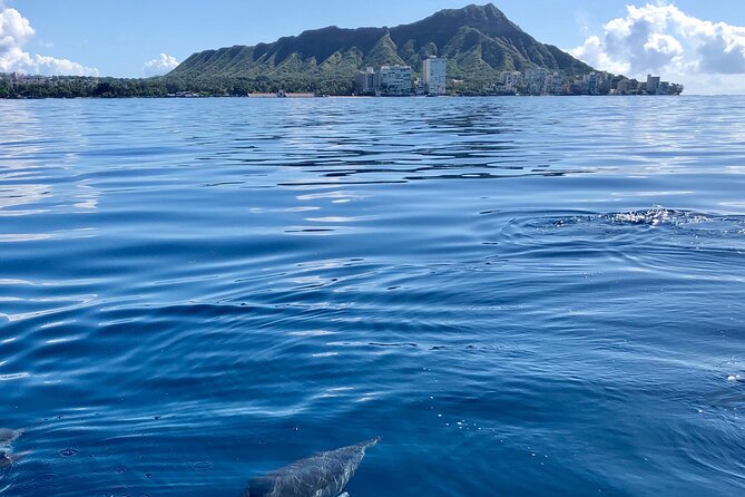 Moana’s Waikīkī Whale Watching Exploration - Comfort, motion, and what to bring