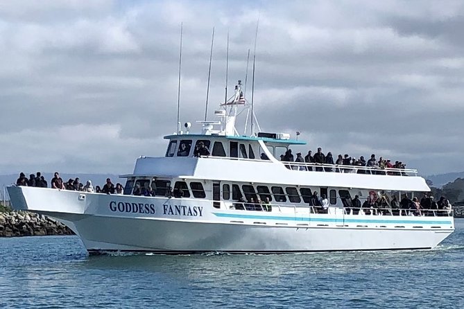 Monterey Bay Whale Watching - Three Hours Searching Monterey Bay