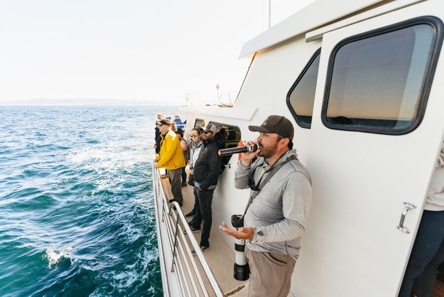 Monterey Bay: Whale Watching Tour - Practical timing and booking advice