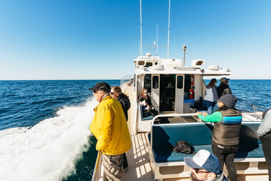 Monterey Bay: Whale Watching Tour - Why Monterey Bay is such a good place for whale watching