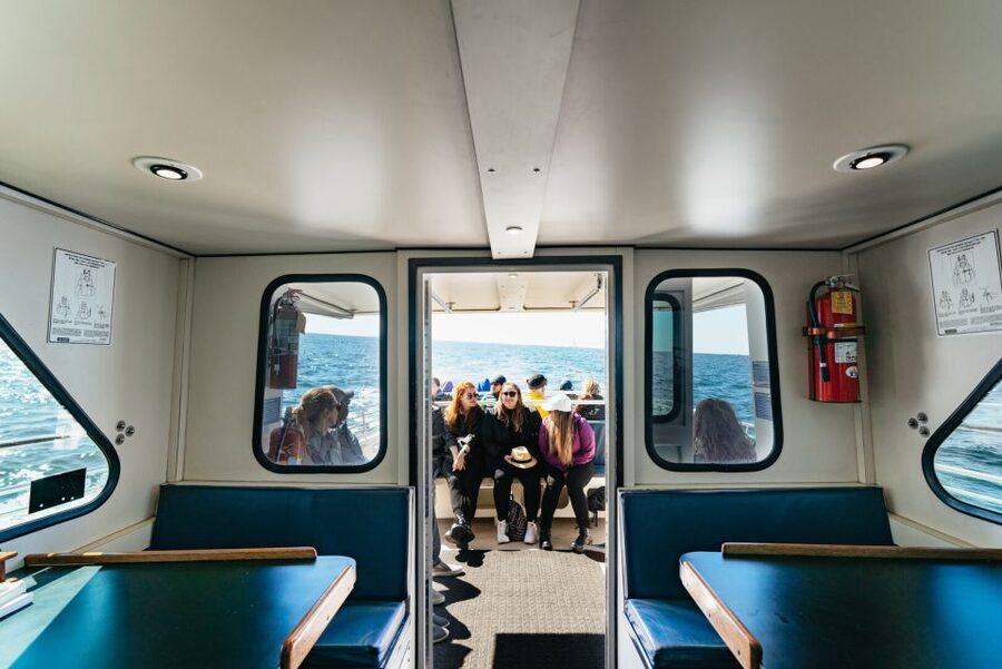 Monterey Bay: Whale Watching Tour - How much the $75 price is worth