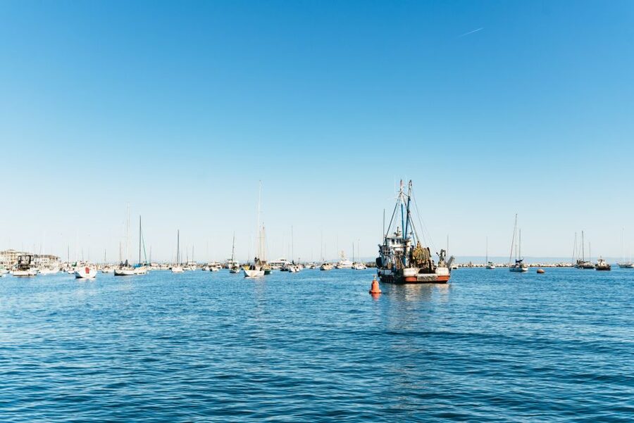 Monterey Bay: Whale Watching Tour - Who should book, and who should think twice