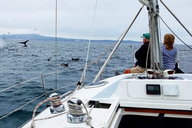 Monterey Private 3 - 4 Hour Whale Watching Cruise - Setting out from Old Fisherman’s Wharf at 8:30 am