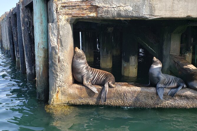 Monterey Private 3 - 4 Hour Whale Watching Cruise - Is $950 a good value?