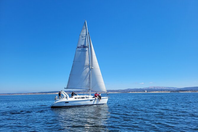 Monterey Private 3 - 4 Hour Whale Watching Cruise - Weather, cancellations, and practical planning