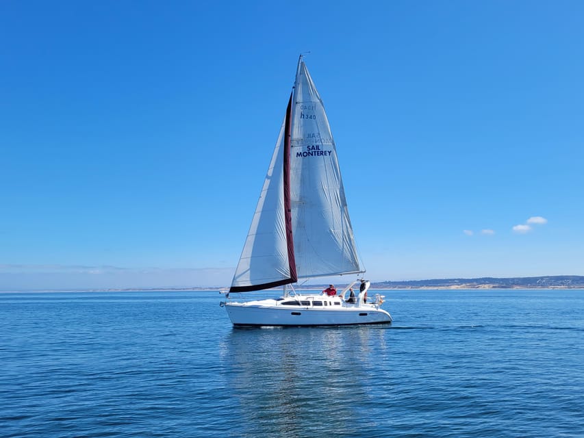 Monterey: Private Whale Watching/Sailing Tour for 6 - Key points to know before you book