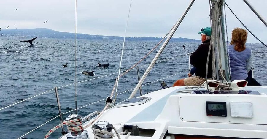 Monterey: Private Whale Watching/Sailing Tour for 6 - Setting sail from Old Fisherman’s Wharf