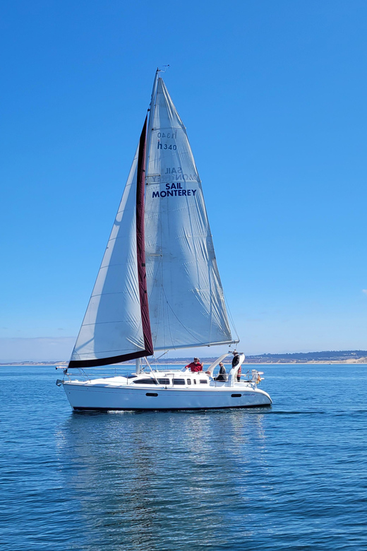 Monterey: Private Whale Watching/Sailing Tour for 6 - Whale watching without a guarantee
