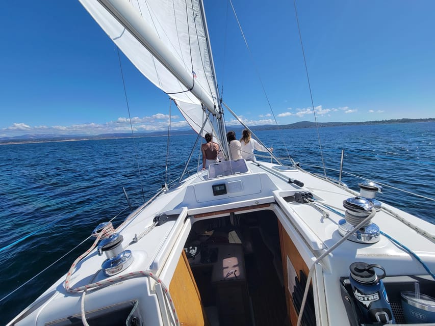 Monterey: Private Whale Watching/Sailing Tour for 6 - A private boat changes the value of the trip