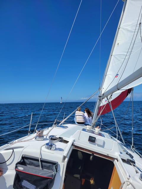 Monterey: Private Whale Watching/Sailing Tour for 6 - Drinks and snacks on board