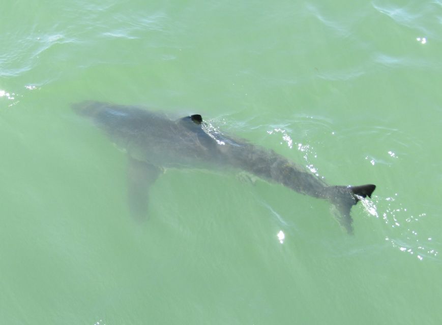 Monterey: Whale Watching Cruise - Practical booking advice for Moss Landing