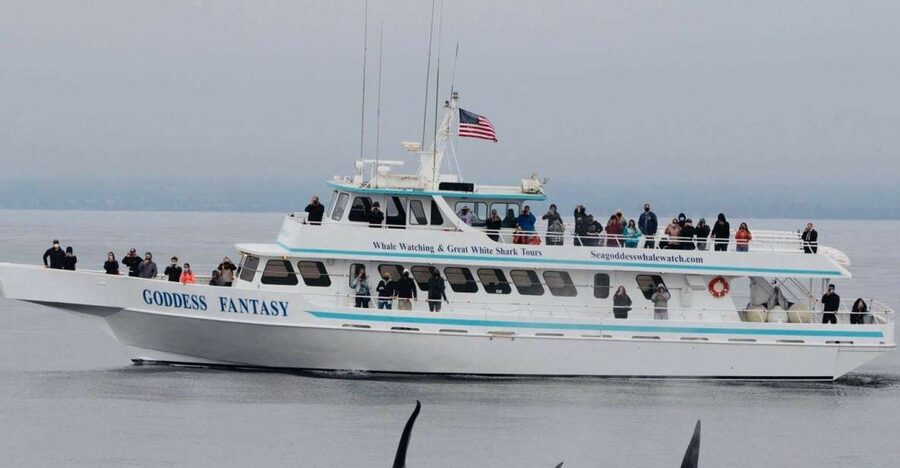 Monterey: Whale Watching Cruise - Starting in Moss Landing harbor