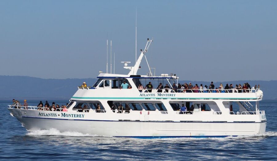 Monterey: Whale Watching Tour with A Marine Guide - Who should book this Monterey cruise?