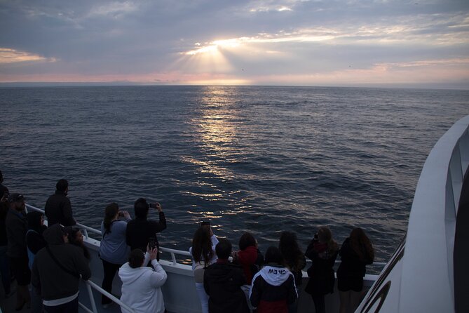 Monterey Whale Watching Tour - Why the Monterey Bay setting matters