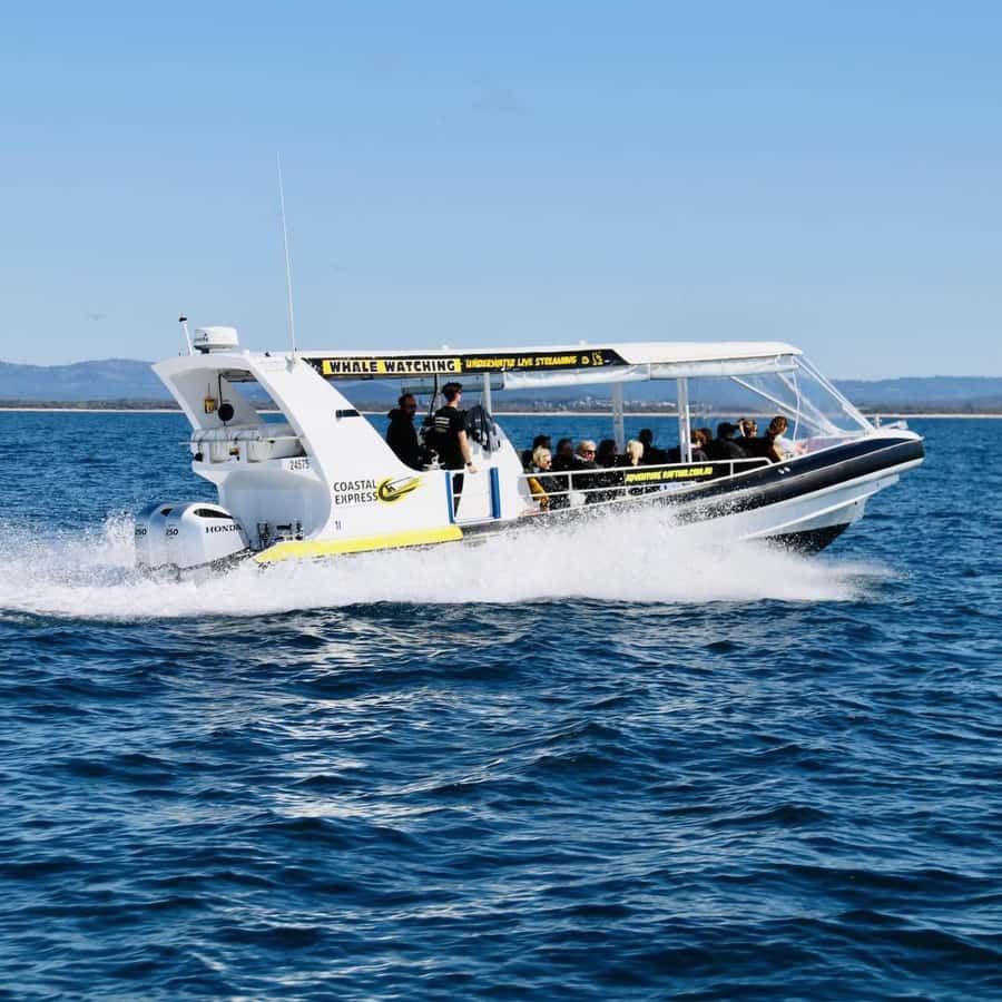 Mooloolaba: 2-Hour Whale Watching Adventure - How the open boat affects comfort