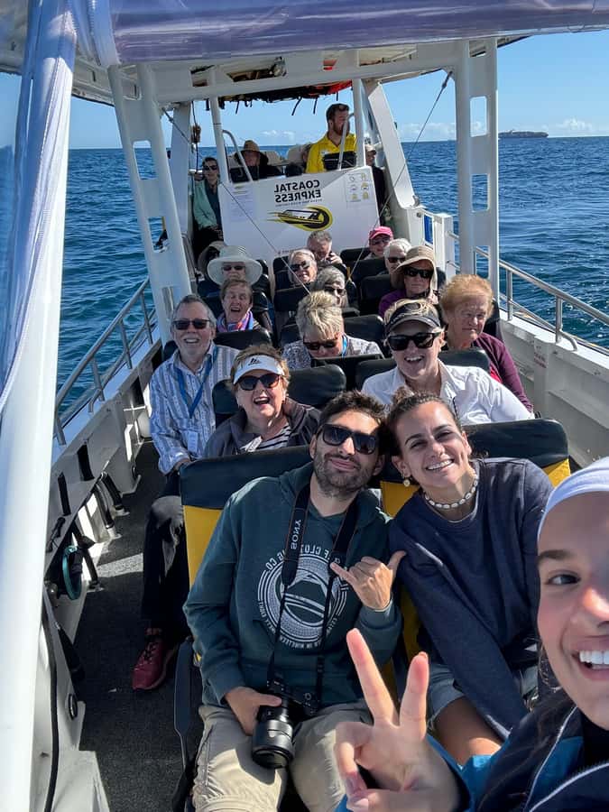 Mooloolaba: Whale Watching Cruise - The best months bring mothers, calves, and active young whales