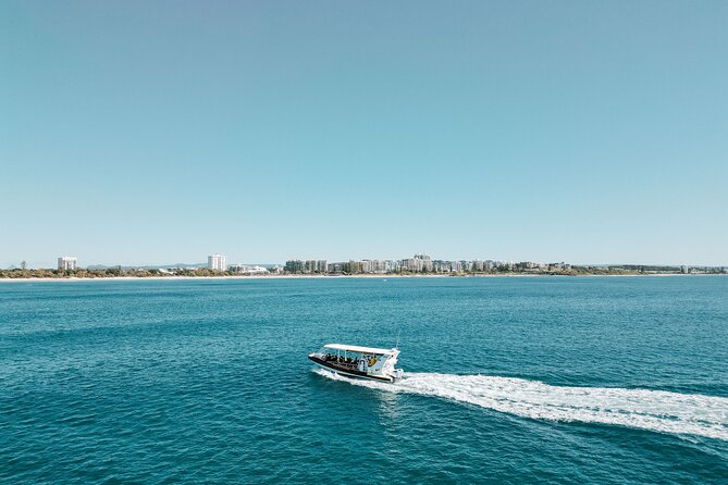 Mooloolaba Whale Watching – Small Group Tour - Point Cartwright brings headland and river views