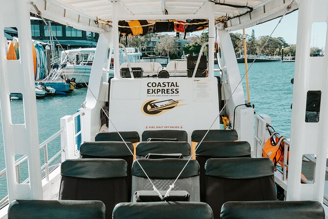 Mooloolaba Whale Watching – Small Group Tour - A private group of up to 20 people