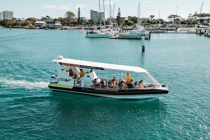 Mooloolaba Whale Watching – Small Group Tour - A fast two-hour cruise from Mooloolaba Wharf