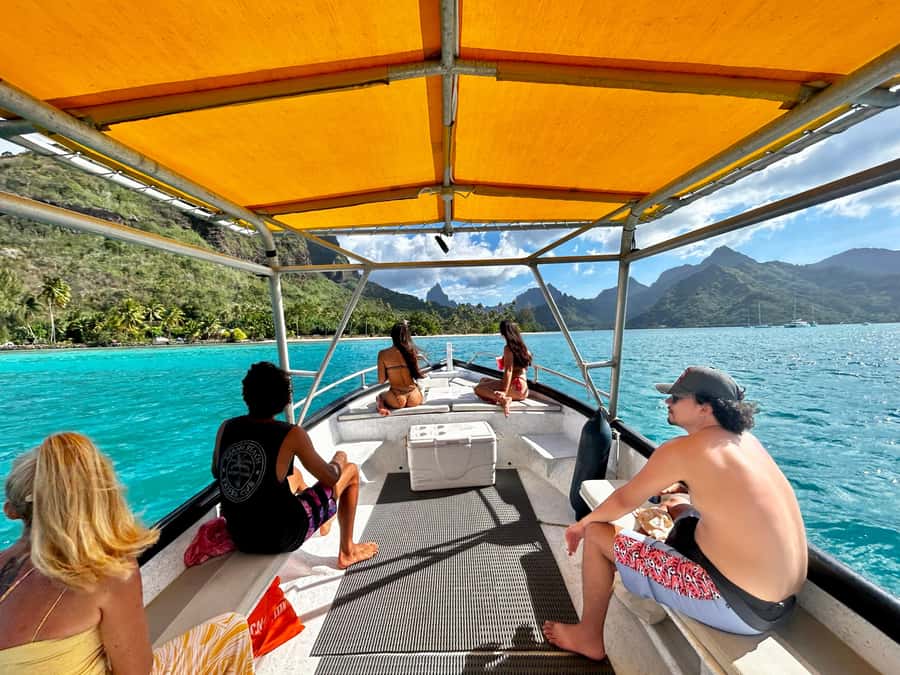 Moorea 4H Shared Boat Tour Whale Swimming and Snorkeling - From hotel pontoon to whale search