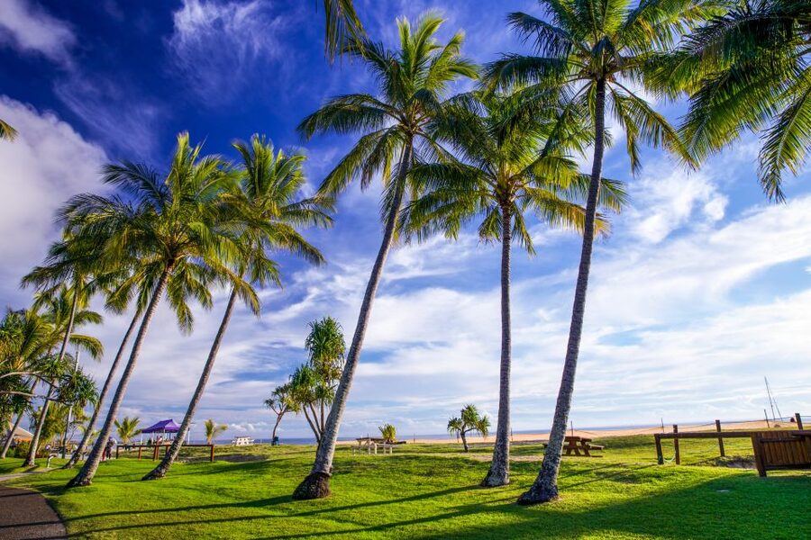 Moreton Island: Tangalooma Day Trip & Whale Watching Cruise - Who will enjoy this day most?