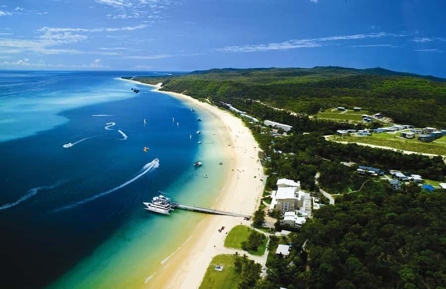 Moreton Island: Tangalooma Whale Watching & Dolphin Feeding - Who will enjoy this day most?