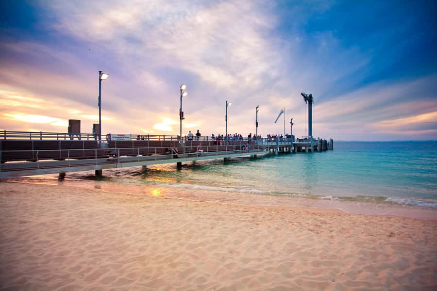Moreton Island: Tangalooma Whale Watching & Dolphin Feeding - Practical tips for a smoother day