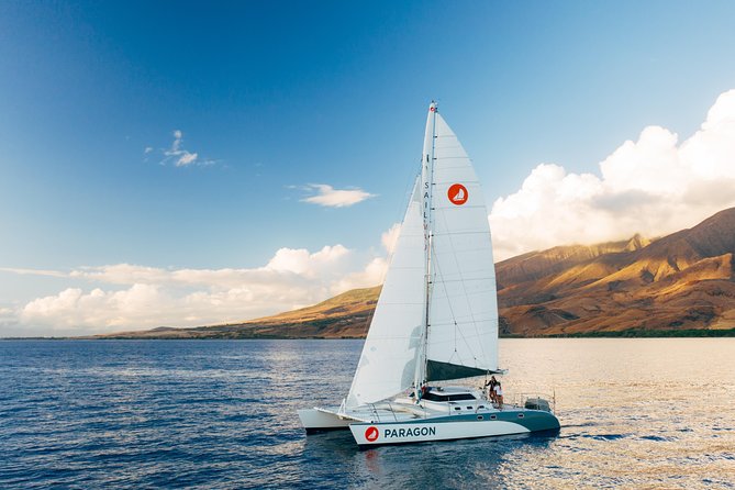 Morning Whale Watch: Lahaina Harbor - Key points about this Lahaina whale watch
