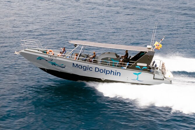 Morro Jable: 2 Hours Magic Dolphin & Whale watching with Drinks & Swim Stop. - What the fast boat feels like