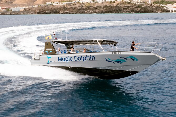 Morro Jable: 2 Hours Magic Dolphin & Whale watching with Drinks & Swim Stop. - Who should book this boat trip?