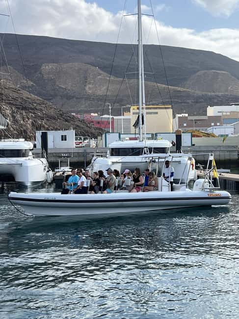 Morro Jable:Dolphin & Whale Watching Boat Tour & Snorkeling - When the Wildlife Appears