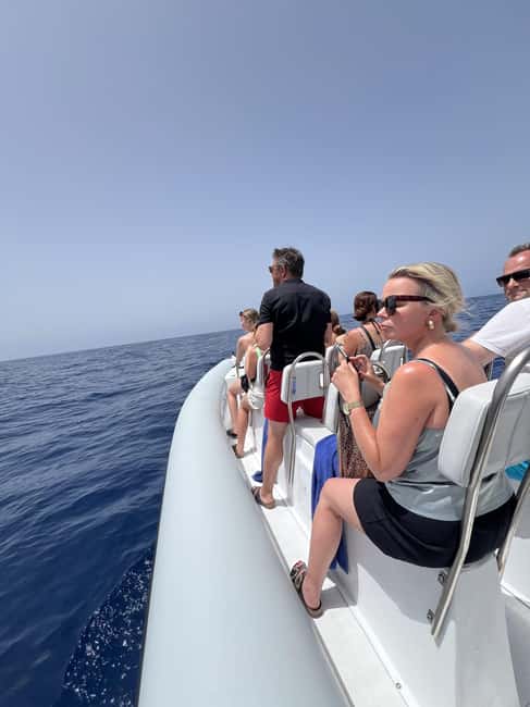 Morro Jable:Dolphin & Whale Watching Boat Tour & Snorkeling - Practical Tips for a Better Day