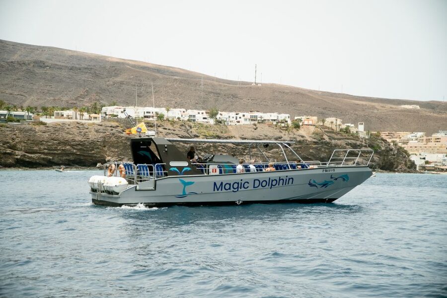 Morro Jable: Dolphin & Whale Watching Cruise, Drinks & Swim - What the Magic Dolphin ride feels like