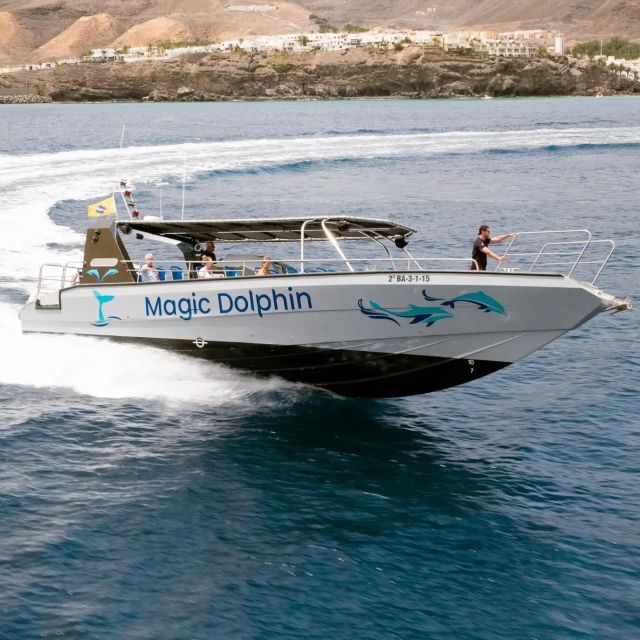 Morro Jable: Dolphin & Whale Watching Cruise, Drinks & Swim - The Jandía swim stop