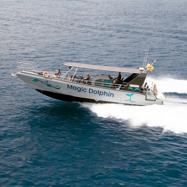 Morro Jable: Dolphin & Whale Watching Cruise, Drinks & Swim - Searching for dolphins and whales in open water