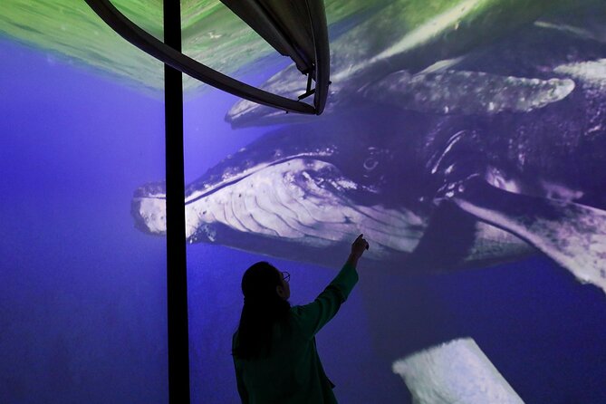 Munba National interactive Whale Museum - The skeleton collection and its rare centerpiece