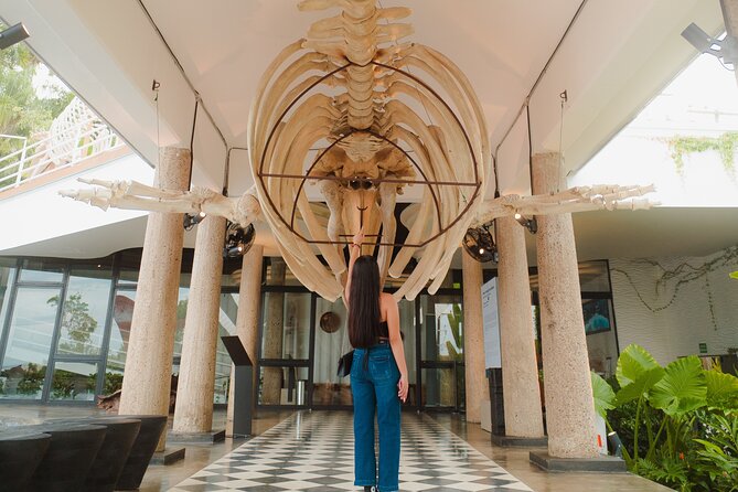 Munba National interactive Whale Museum - Talassa, conservation, and the bigger message