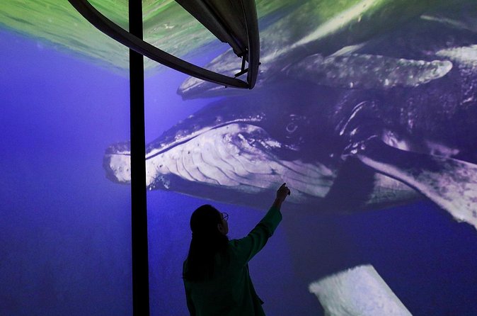 Munba National interactive Whale Museum - Is $17.30 a fair price?