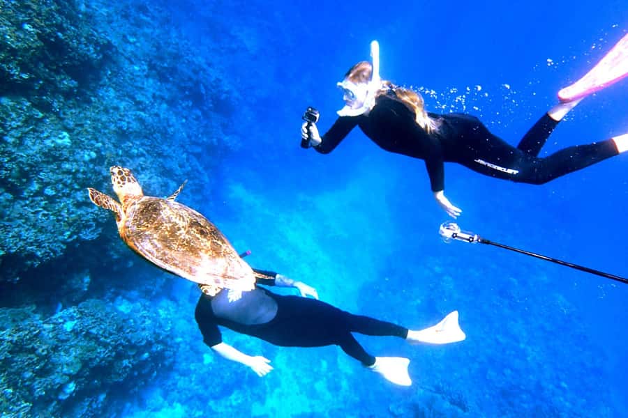 Naha:Kerama Island Experience Dive/Snorkeling/Whale Watching - A full sea day from Naha to Kerama National Park