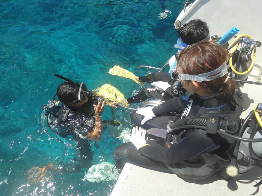 Naha:Kerama Island Experience Dive/Snorkeling/Whale Watching - The crew’s strongest role is helping beginners stay calm