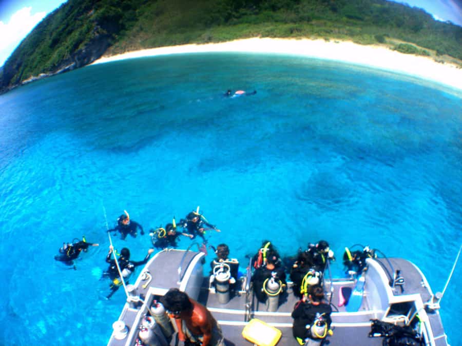 Naha:Kerama Island Experience Dive/Snorkeling/Whale Watching - Should you book this Kerama sea experience?