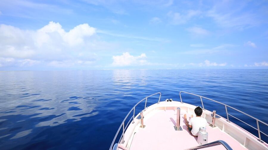 Naha, Okinawa: Kerama Islands Half-Day Whale Watching Tour - The one-hour whale encounter