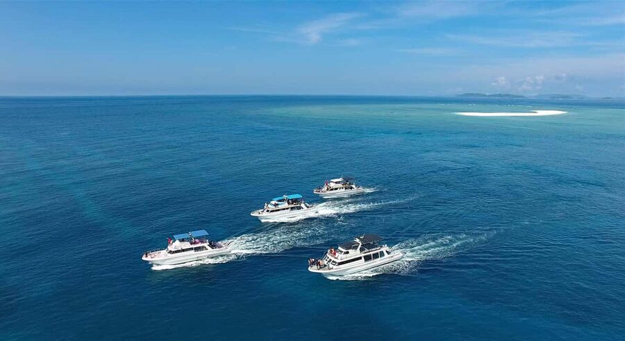 Naha, Okinawa: Kerama Islands Half-Day Whale Watching Tour - What the guides add to the trip