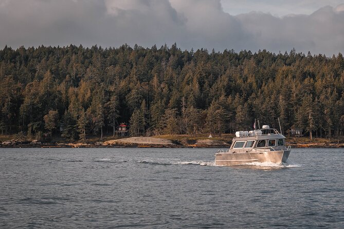 Nanaimo Whale Watching in a Semi-Covered Boat - Reading the Salish Sea as you cruise