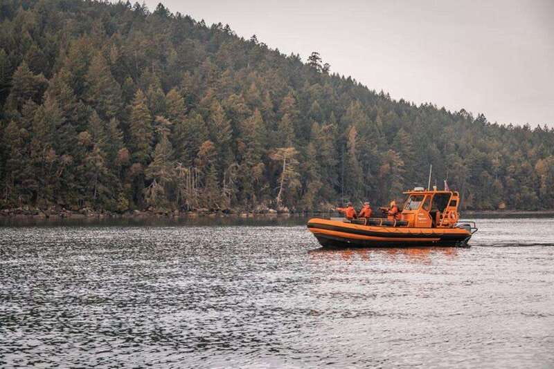 Nanaimo: Whale Watching Open Boat Tour - One focused hour with the whales