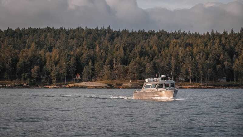 Nanaimo: Whale Watching Semi-Covered Boat Tour - Identifying individual whales