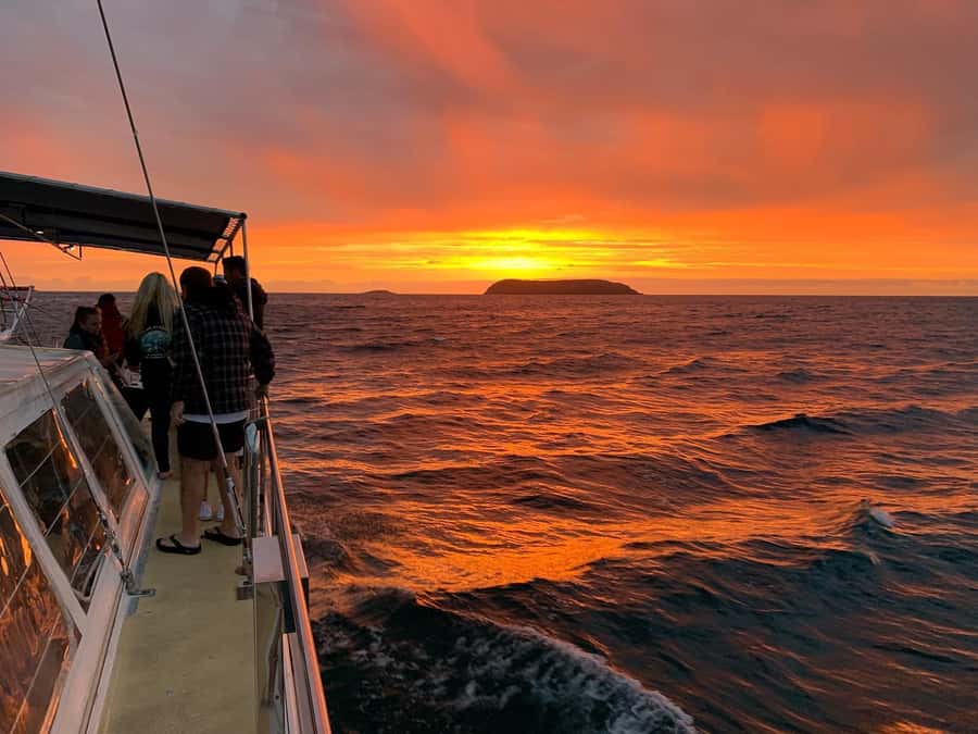 Nelson Bay: Whale and Dolphin Watching Catamaran Cruise - Weather, comfort, and what to pack