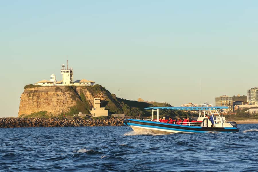 Newcastle: Small Group Humpback Whale Encounter Tour - Booking, cancellation, and useful planning details